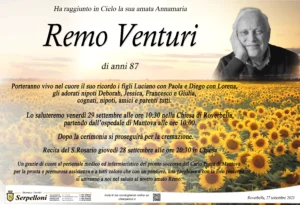 Venturi Remo